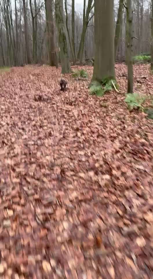 "Wege zur Freundschaft" (Ulli Reichmann)-Beitrag-Bild