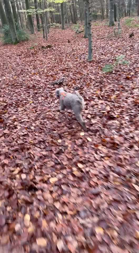 "Wege zur Freundschaft" (Ulli Reichmann)-Beitrag-Bild