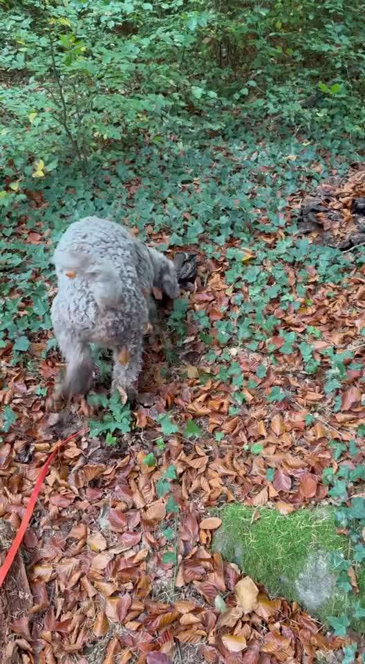 "Wege zur Freundschaft" (Ulli Reichmann)-Beitrag-Bild