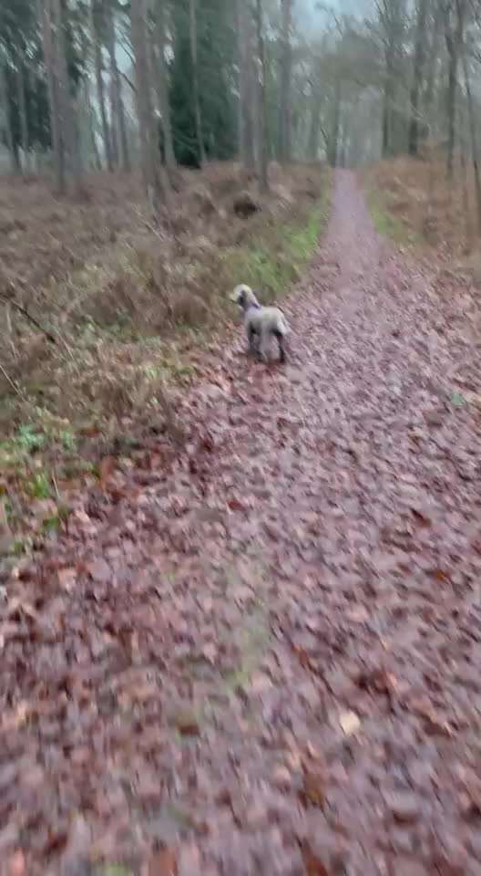 "Wege zur Freundschaft" (Ulli Reichmann)-Beitrag-Bild