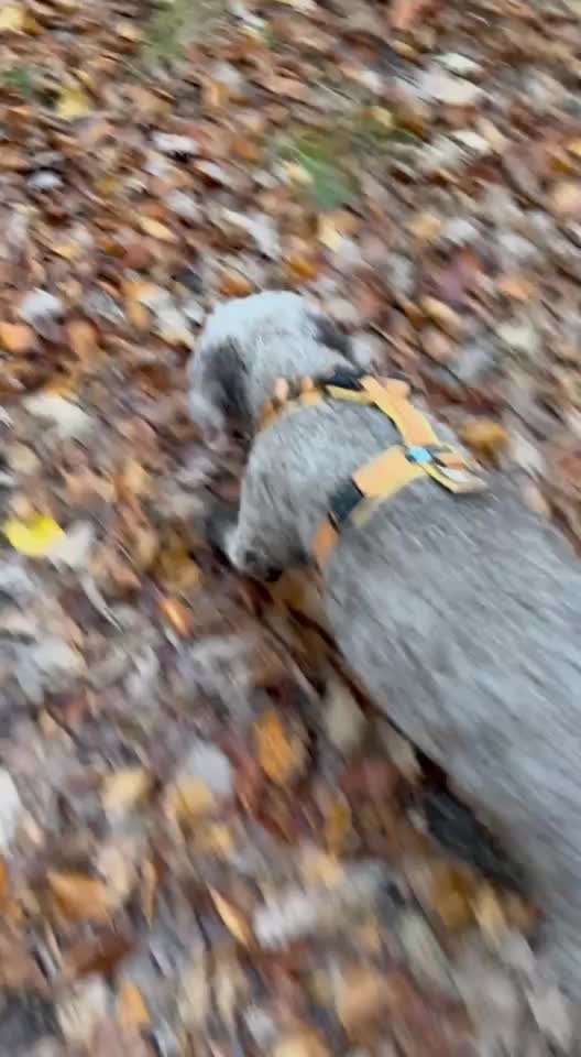 "Wege zur Freundschaft" (Ulli Reichmann)-Beitrag-Bild