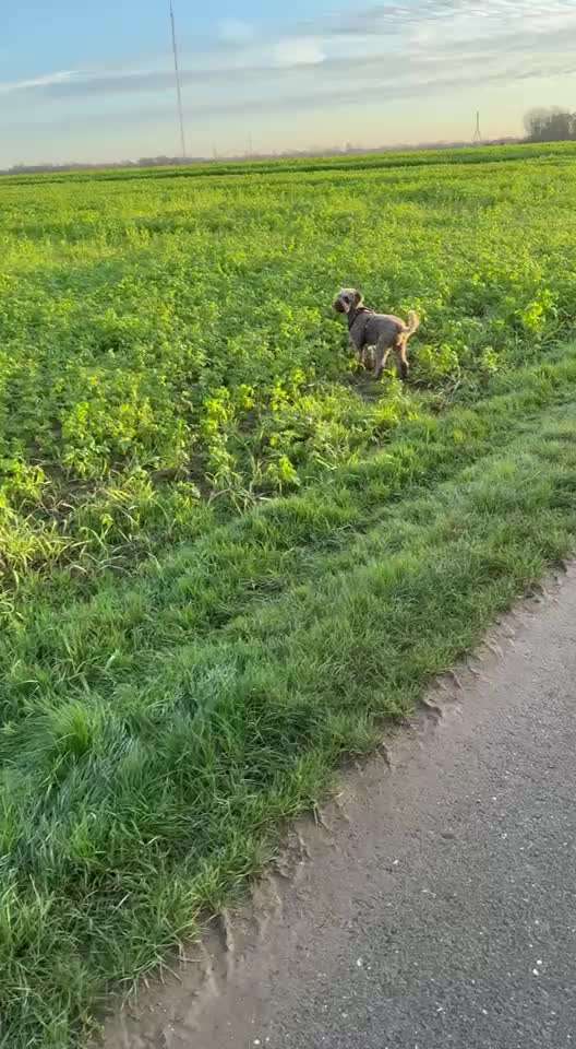 "Wege zur Freundschaft" (Ulli Reichmann)-Beitrag-Bild
