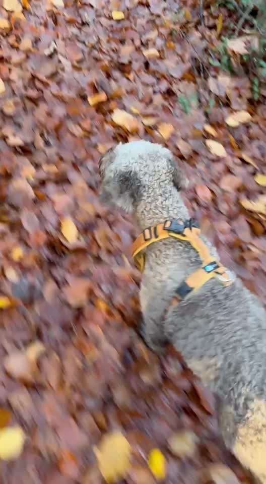 "Wege zur Freundschaft" (Ulli Reichmann)-Beitrag-Bild