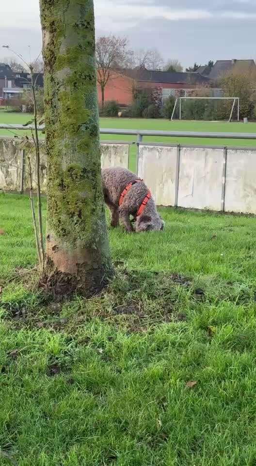 "Wege zur Freundschaft" (Ulli Reichmann)-Beitrag-Bild