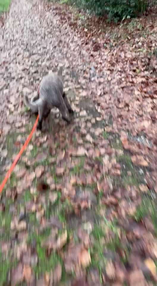 "Wege zur Freundschaft" (Ulli Reichmann)-Beitrag-Bild