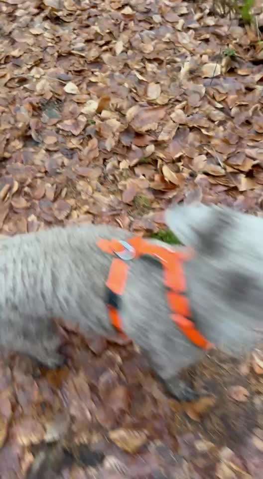 "Wege zur Freundschaft" (Ulli Reichmann)-Beitrag-Bild