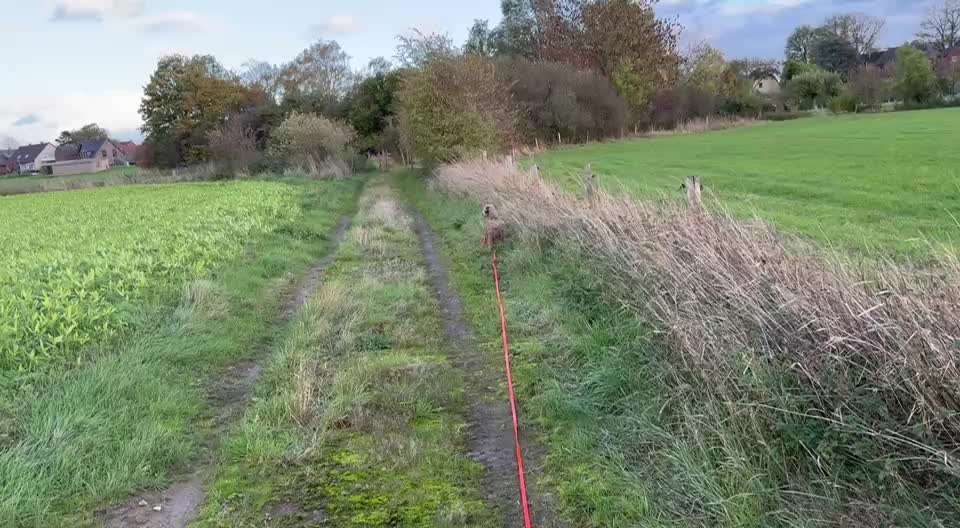 "Wege zur Freundschaft" (Ulli Reichmann)-Beitrag-Bild