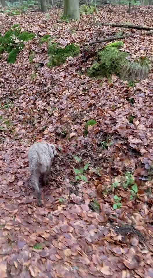 "Wege zur Freundschaft" (Ulli Reichmann)-Beitrag-Bild