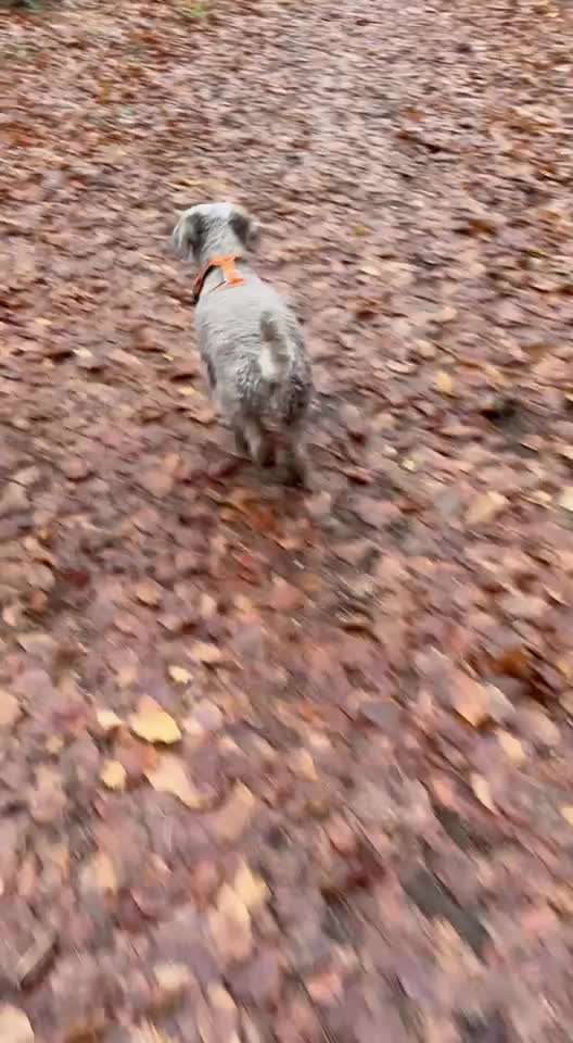 "Wege zur Freundschaft" (Ulli Reichmann)-Beitrag-Bild