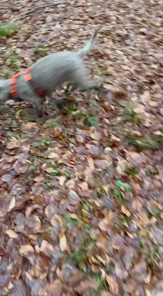 "Wege zur Freundschaft" (Ulli Reichmann)-Beitrag-Bild