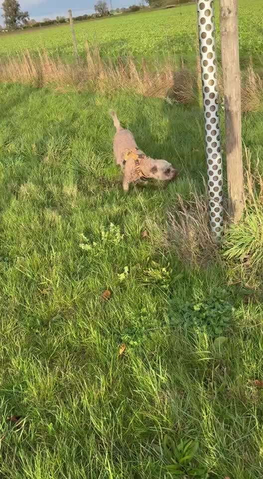 "Wege zur Freundschaft" (Ulli Reichmann)-Beitrag-Bild