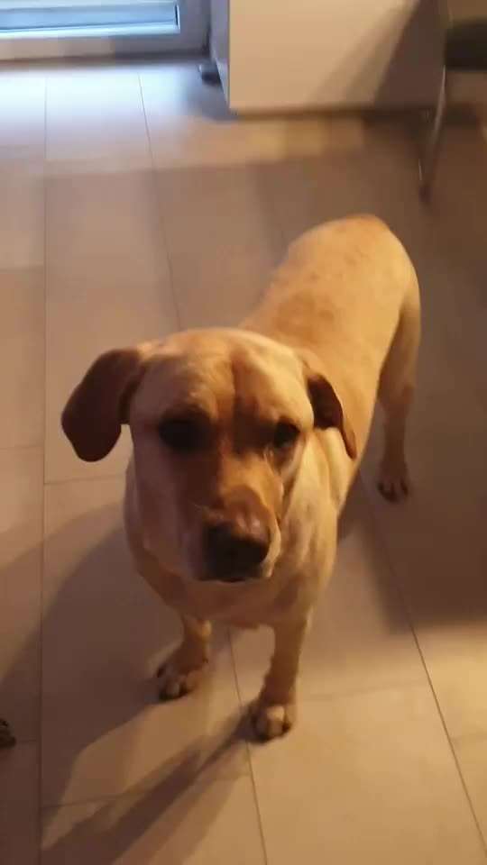 𝕋ℝ𝕀ℂ𝕂 ℂℍ𝔸𝕃𝕃𝔼ℕ𝔾𝔼 ℕℝ. 𝟙-Beitrag-Bild