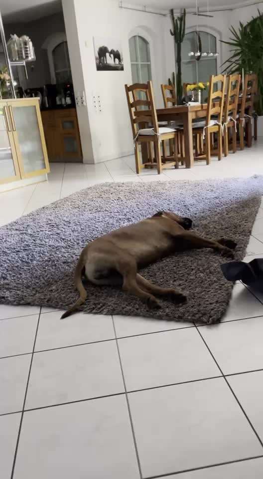 Zuckungen-Beitrag-Bild