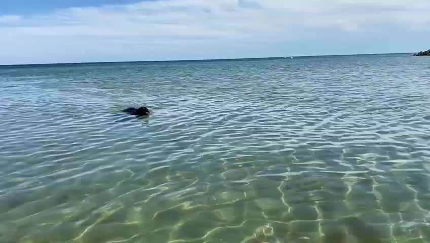 Urlaub an der Ostsee-Beitrag-Bild