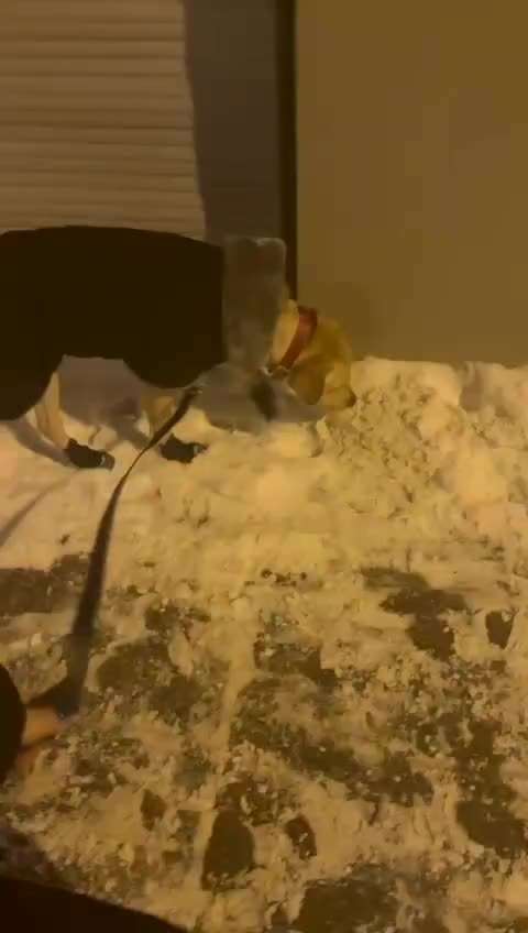 Was hat euch heute genervt?-Beitrag-Bild