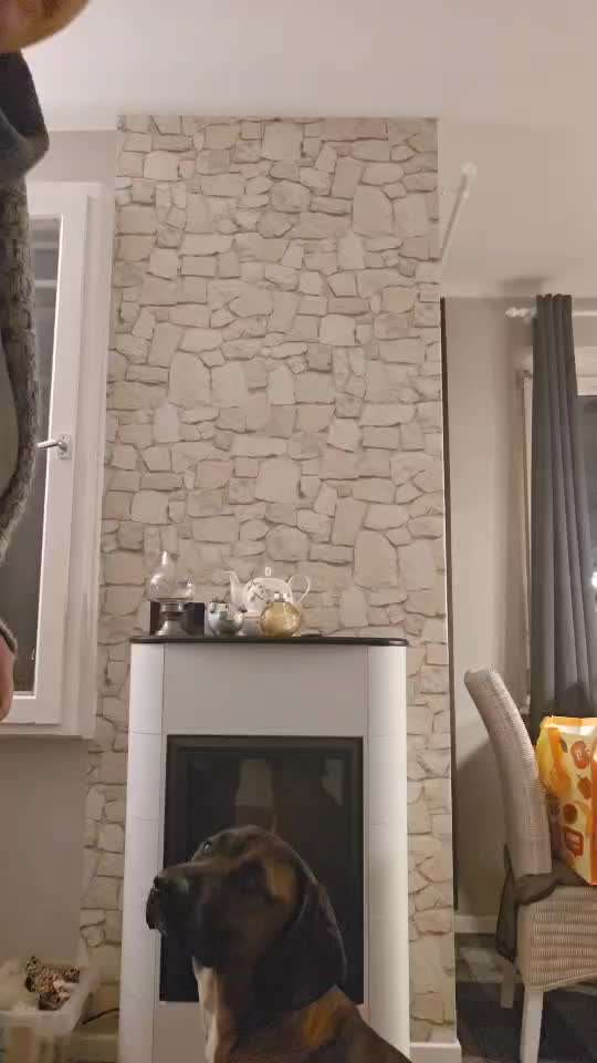 Trick Spiel - Koffer Packen - der 12.-Beitrag-Bild