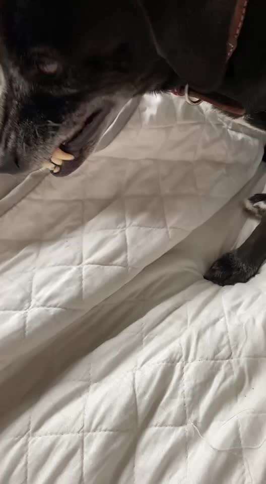 Husten?-Beitrag-Bild