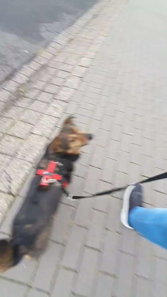 Gangbild/-analyse-Beitrag-Bild