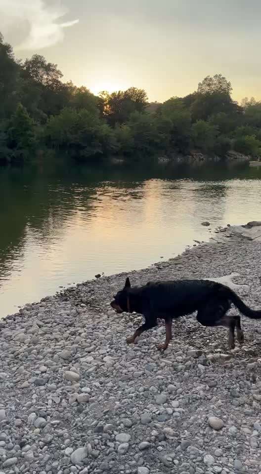 50. Video Challenge - Wasserscheu oder nicht-Beitrag-Bild