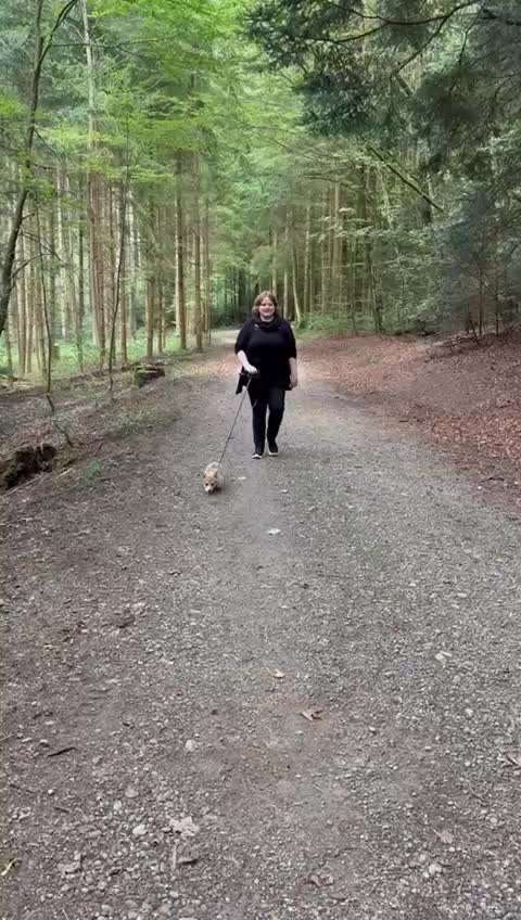 51. Video challenge - Dein Hund beim Spaziergang-Beitrag-Bild