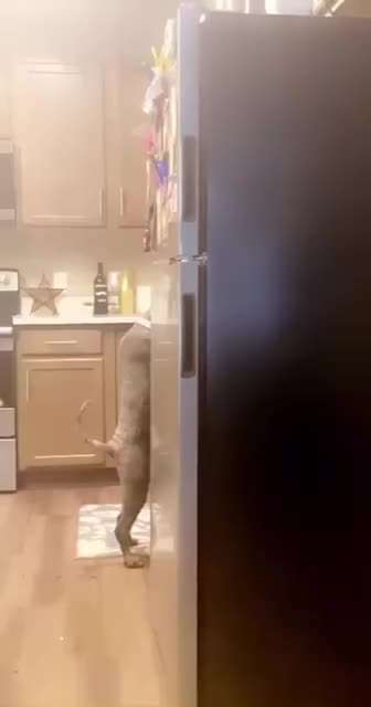 Hier ist der Spaßthread. Zum Schmunzeln und Kaputtlachen-Beitrag-Bild