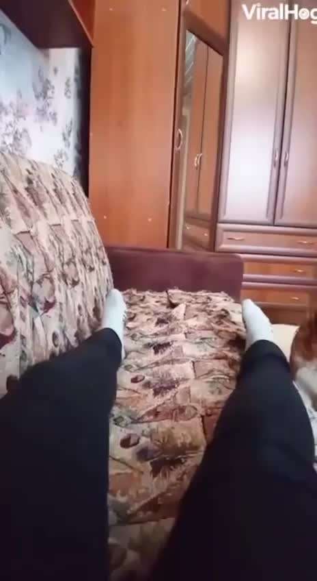 Hier ist der Spaßthread. Zum Schmunzeln und Kaputtlachen-Beitrag-Bild