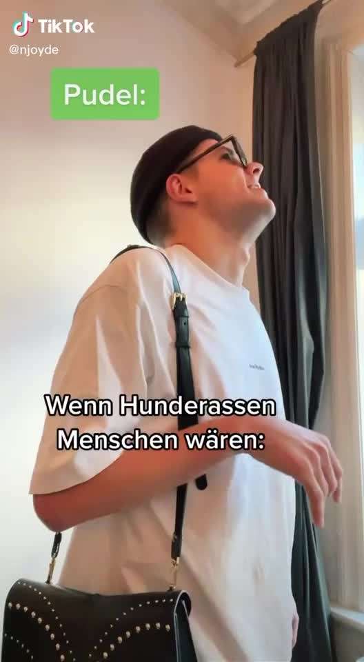 Hier ist der Spaßthread. Zum Schmunzeln und Kaputtlachen-Beitrag-Bild