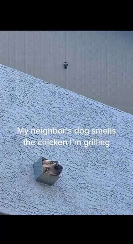 Hier ist der Spaßthread. Zum Schmunzeln und Kaputtlachen-Beitrag-Bild