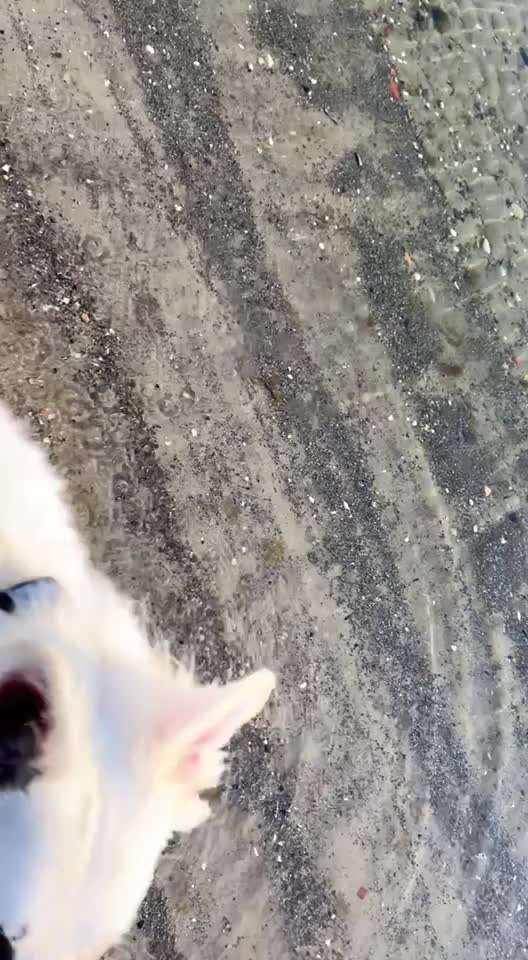 Handy Video Challenge Nr. 31: Wasser-Beitrag-Bild