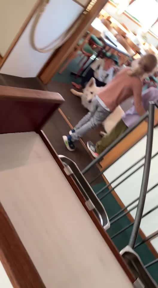 Impulskontrolle Challenge Nr. 11 "Bleib mit Ablenkung"-Beitrag-Bild