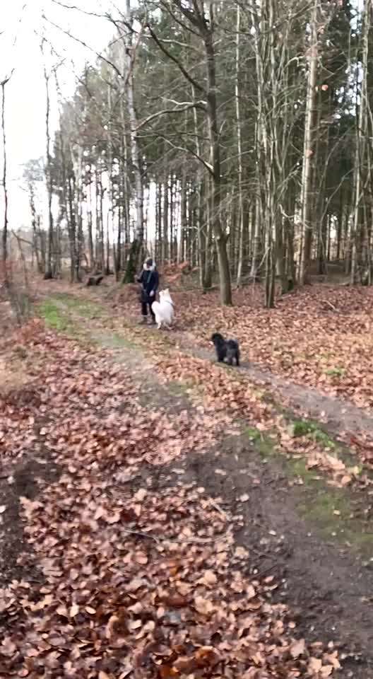 15. Video Challenge.  In SloMo die Welt erkunden!-Beitrag-Bild