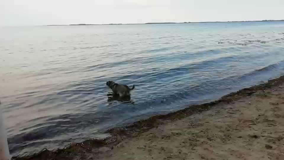 50. Video Challenge - Wasserscheu oder nicht-Beitrag-Bild