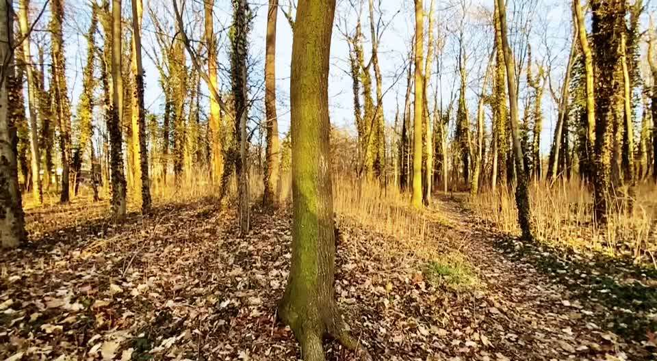 Sport und Trick-Beitrag-Bild