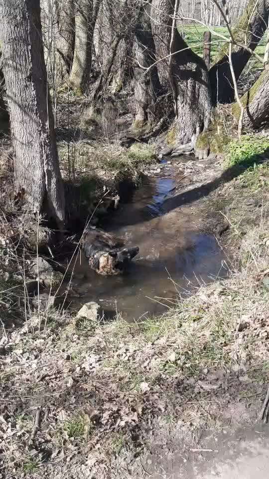 Zeigt mir doch mal eure Dreckspätze-Beitrag-Bild