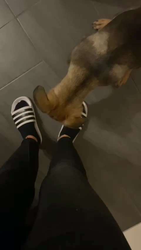 Husten mit weißem Schleim-Beitrag-Bild