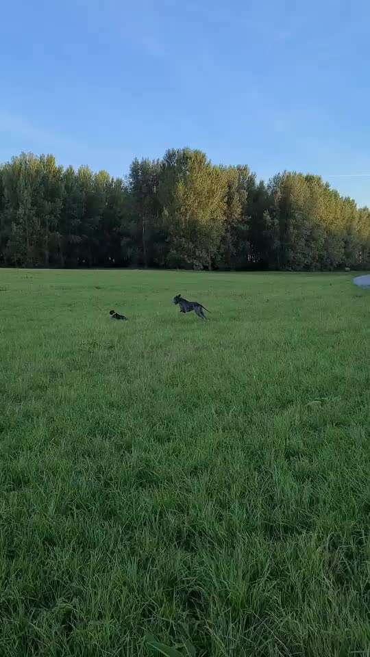 Handyvideochallenge Nr. 26 Gross und Klein-Beitrag-Bild