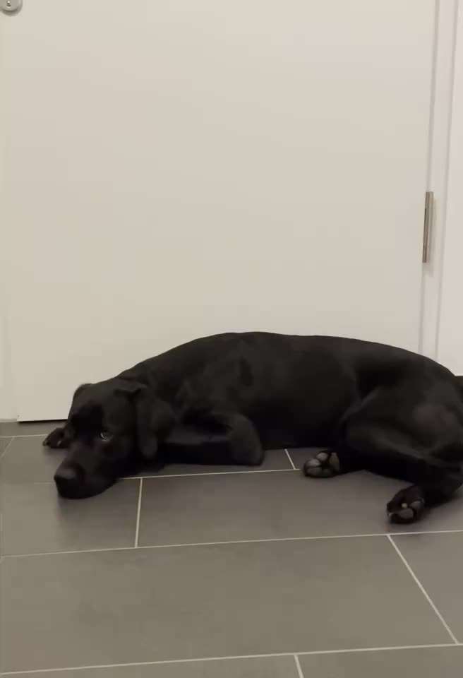 Pubertät! Suche Gleichgesinnte zum gegenseitigen AUSHEULEN ;)-Beitrag-Bild