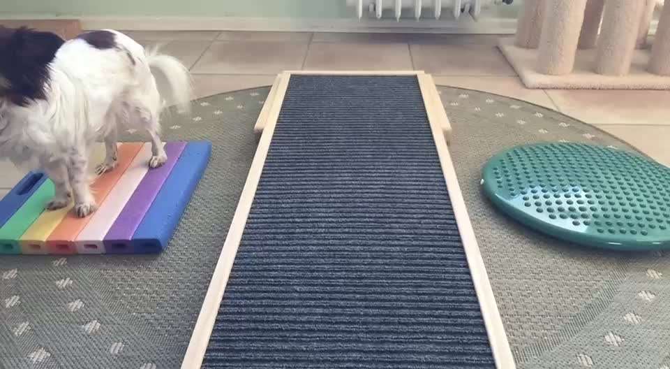 aktuelles Foto Gruppe Trickkiste