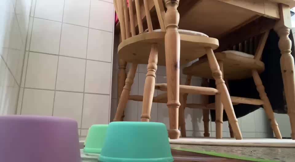 aktuelles Foto Gruppe Trickkiste