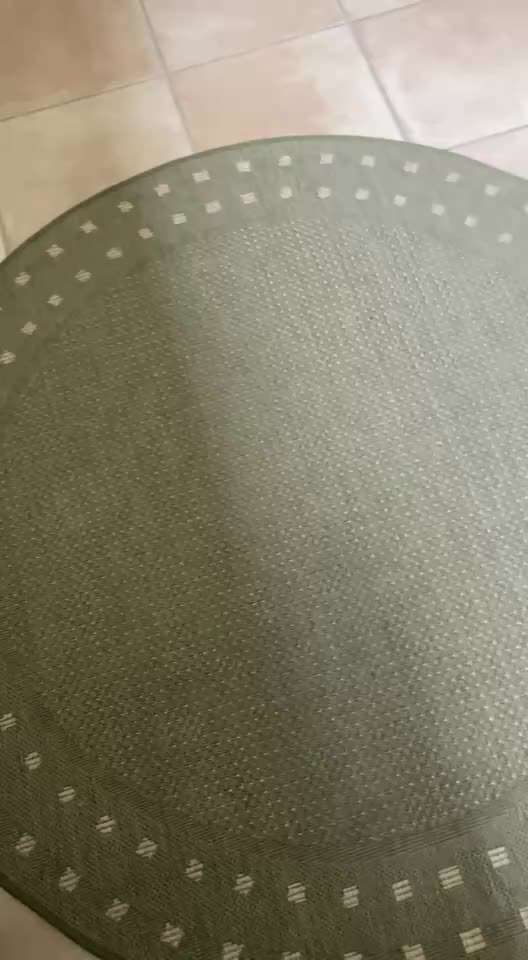 aktuelles Foto Gruppe Trickkiste