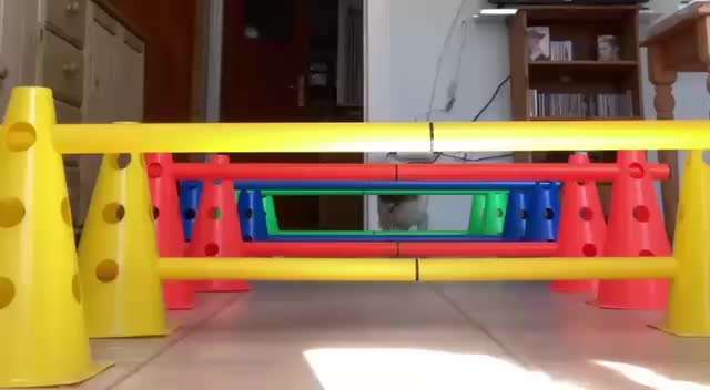 aktuelles Foto Gruppe Trickkiste