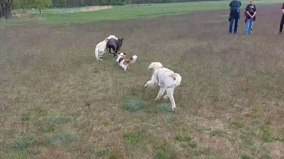 Bright side of life! Schönwetter-Thread-Beitrag-Bild