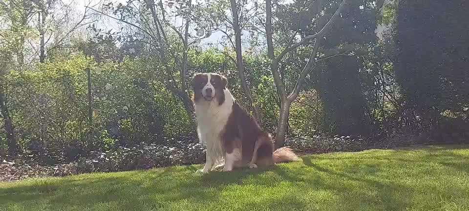 Trick Challenge Nr. 28: Slalom rückwärts-Beitrag-Bild