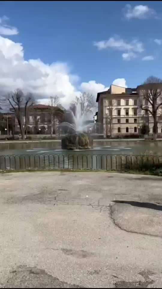 aktuelles Foto Gruppe Australian Shepherd