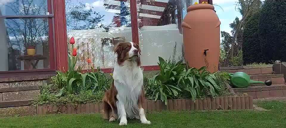 Trick Challenge Nr. 28: Slalom rückwärts-Beitrag-Bild