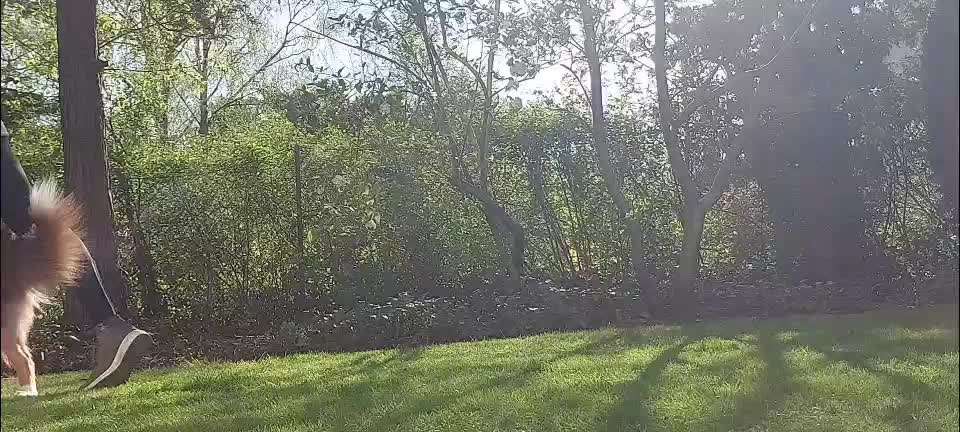 Trick Challenge Nr. 28: Slalom rückwärts-Beitrag-Bild