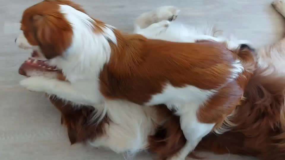 Ist das (noch) Spiel?-Beitrag-Bild