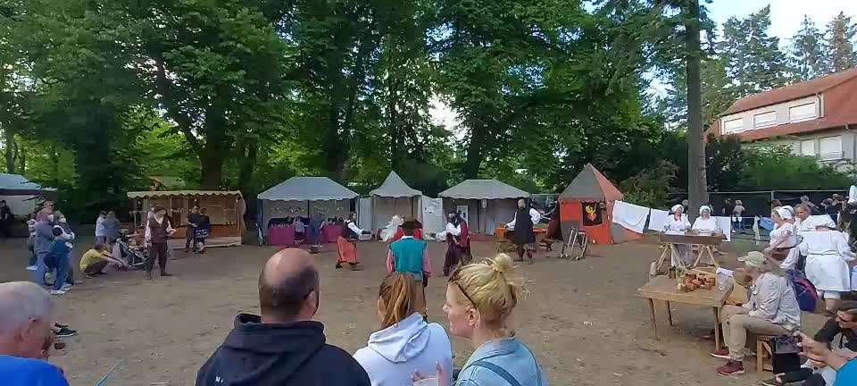 Hunde im Freizeitpark-Beitrag-Bild