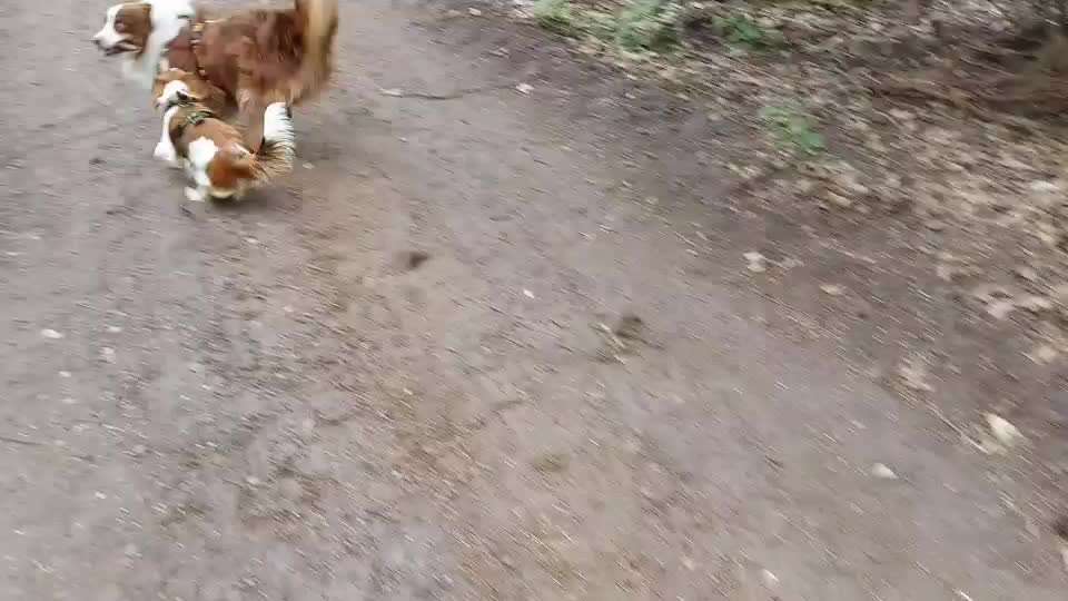 Ist das (noch) Spiel?-Beitrag-Bild