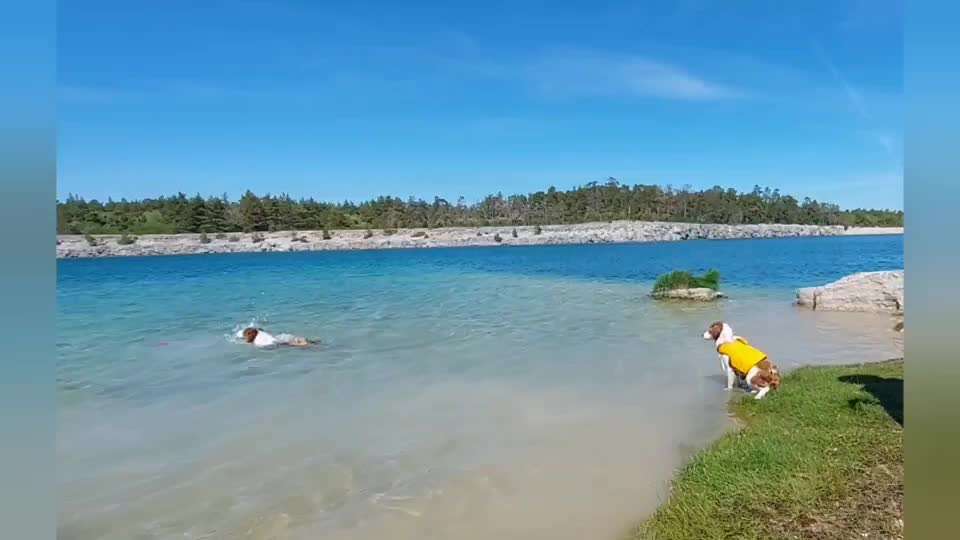 Ist das (noch) Spiel?-Beitrag-Bild